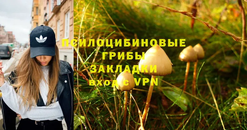 Псилоцибиновые грибы Magic Shrooms  хочу   Калач 